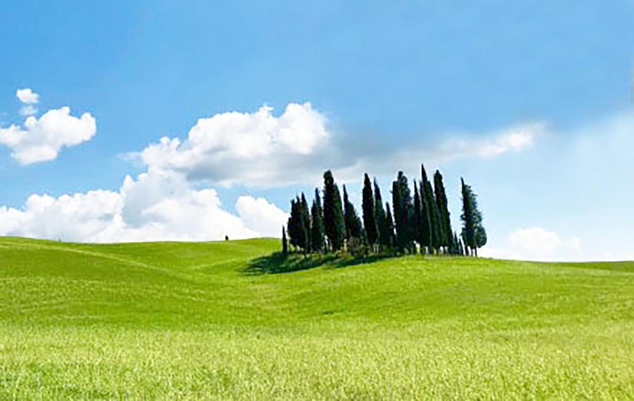 La Casa Nel Poggio 247 Vicino A Siena Daire Ponte a Tressa Dış mekan fotoğraf