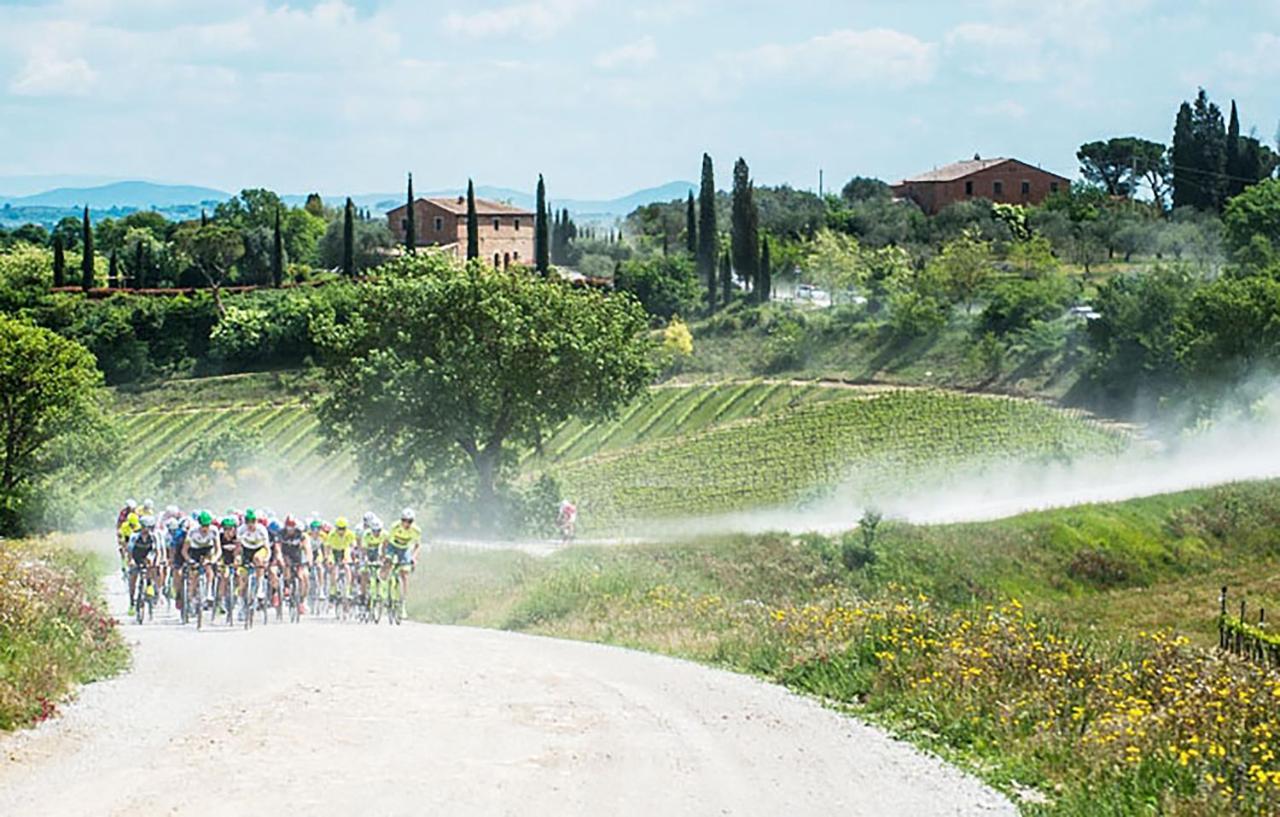 La Casa Nel Poggio 247 Vicino A Siena Daire Ponte a Tressa Dış mekan fotoğraf