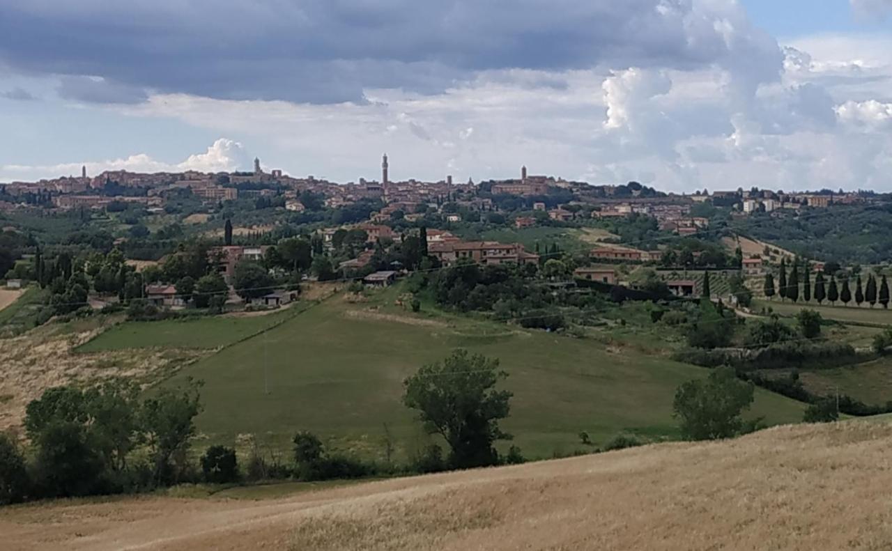 La Casa Nel Poggio 247 Vicino A Siena Daire Ponte a Tressa Dış mekan fotoğraf